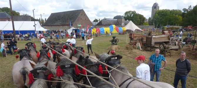 Fête des moissons à l’abbaye de Bonne-Espérance