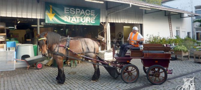 Petites courses en attelage au moulin de Bierges