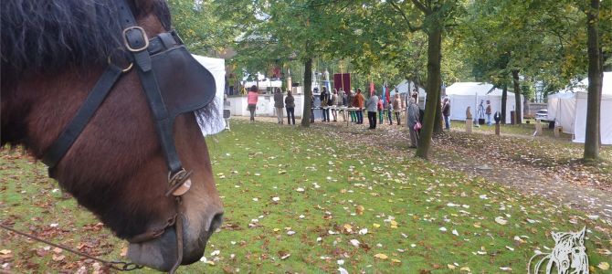 Sint Wivine processie, Ohain