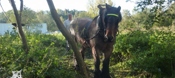 Rendez-vous sur les sentiers, Wavre