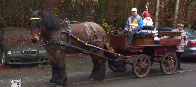 Sinterklaas