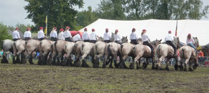 Trekpaardenhappening, Evergem