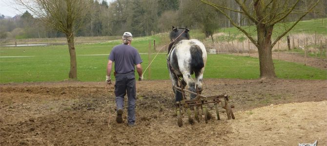 Onderhoud van de winter weide