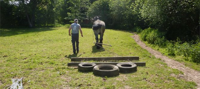 Passage de l’ébouseuse avec Igor