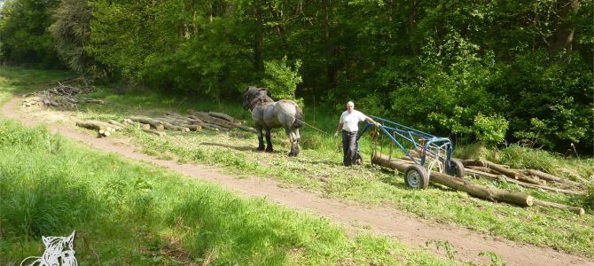 Travail au triqueballe avec Igor