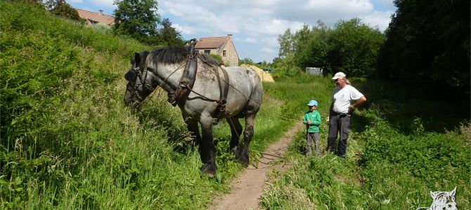 Notre jeune apprenti…