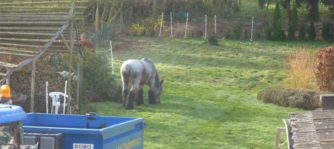 Gras maaien zonder lawaai