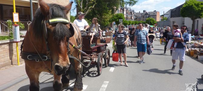 Ulysse aan de Rommelmarkt van Rixensart