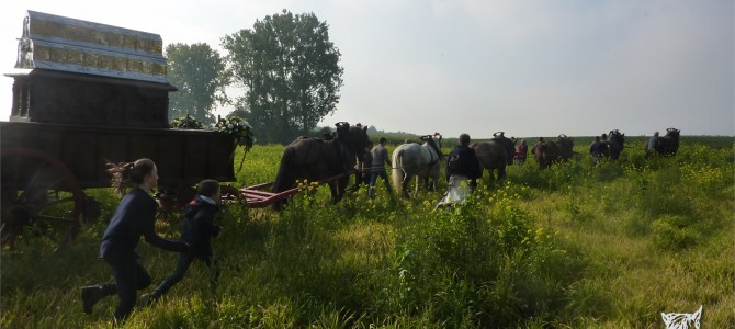 739e Rond van Sint Gertrude, Nijvel