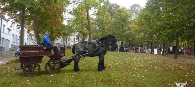 Procession à Ohain, et attelage avec Igor