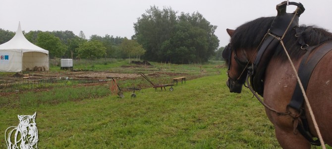 Opendeurdag bij La Ferme de Froidmont, Rixensart