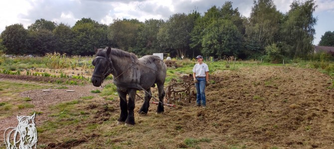 Préparation d’une nouvelle parcelle de culture