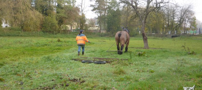 paardenmest uit spreiden