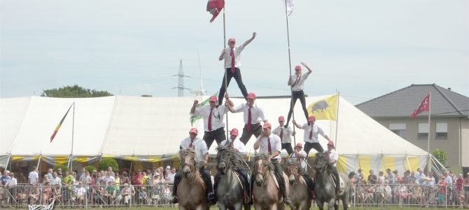 Trekpaardenhappening, Evergem