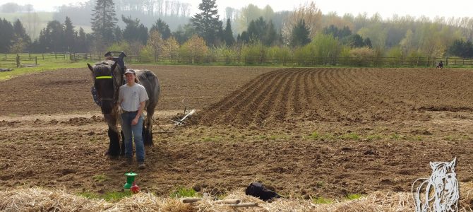 Maraîchage et travail du sol