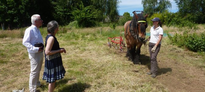 Opendeurendag at Ferme de Froidmont