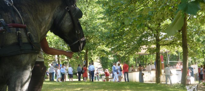 Procession du Saint-Sacrement à Ohain