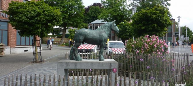 Foire agricole de Soignies