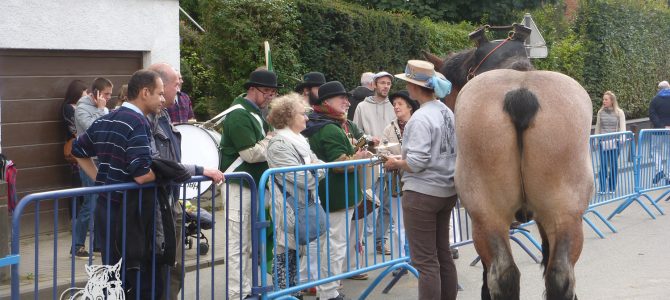 Marché annuel de Saint-Job