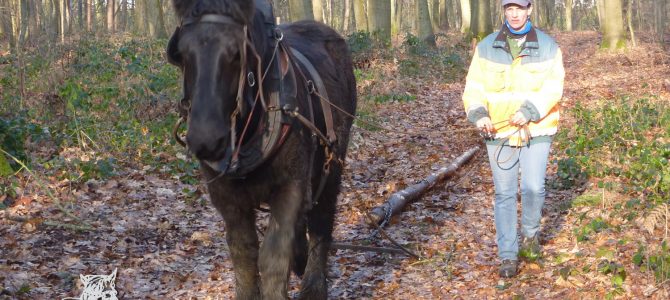 Eerste keer in het bos met Onyx