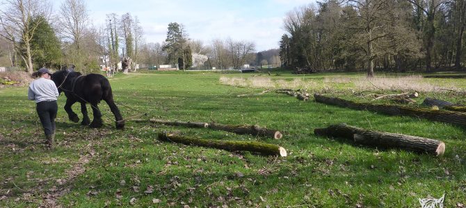 Remise en route du « petit »